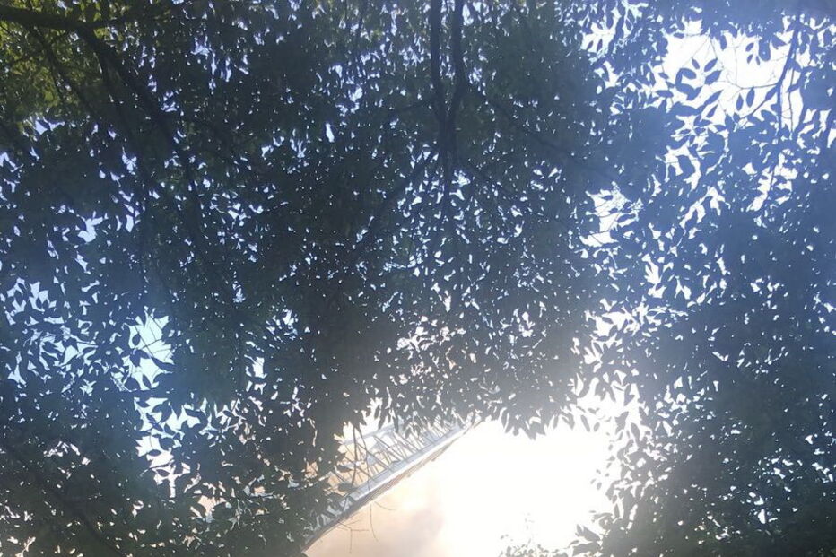 Incêndio em prédio de habitação em Campo de Ourique