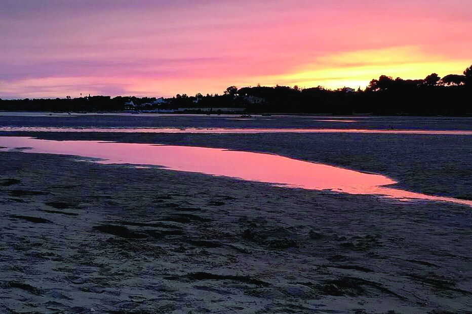Bárbara Guimarães partilhou fotografia com a legenda 