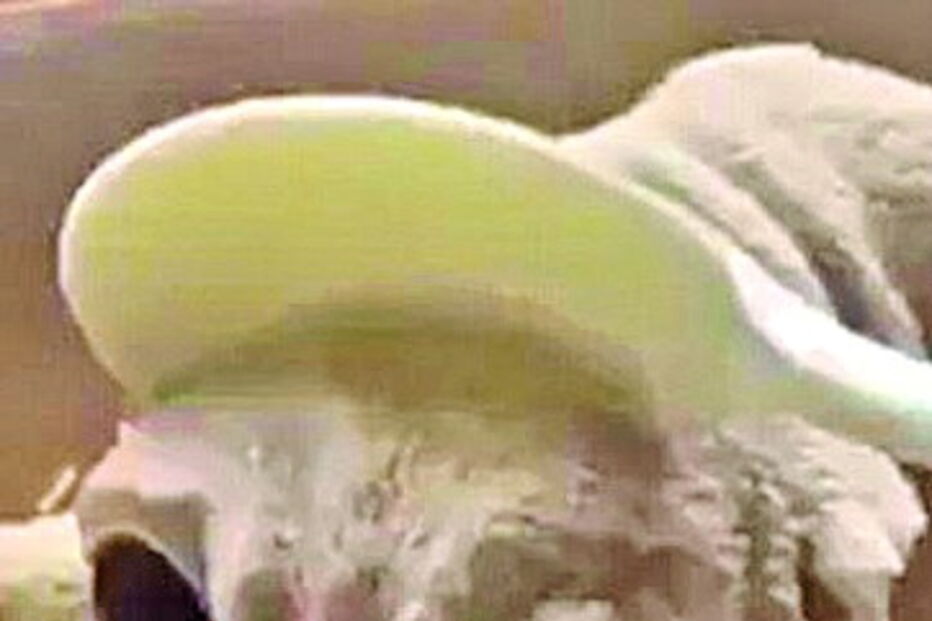 Mulher decapita cachorro... gelado