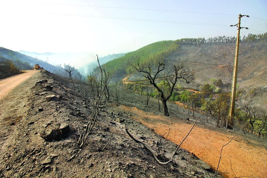 Recuperação de infraestruturas e equipamentos danificados durante o incêndio irá ser feita de forma imediata  