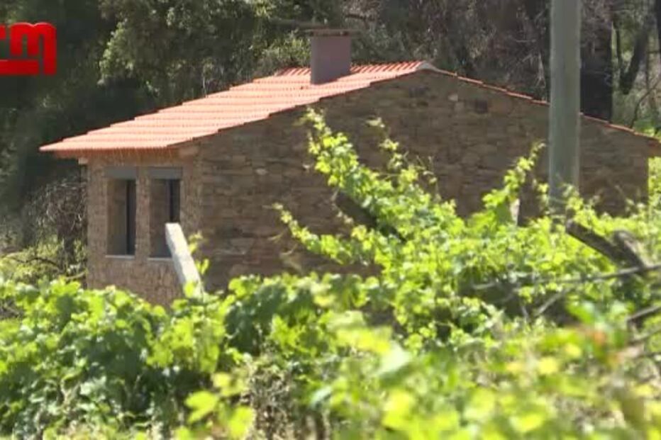 Casas de Pedrógão Grande estão sob suspeita