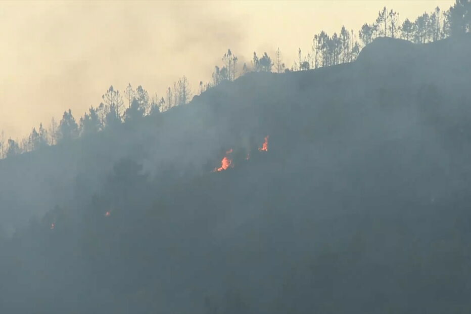 Oito meios aéreos combatem incêndio em Seia