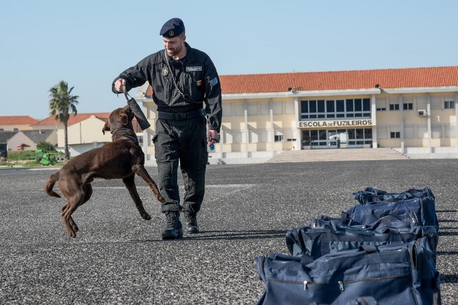 Zarco faz parte da equipa