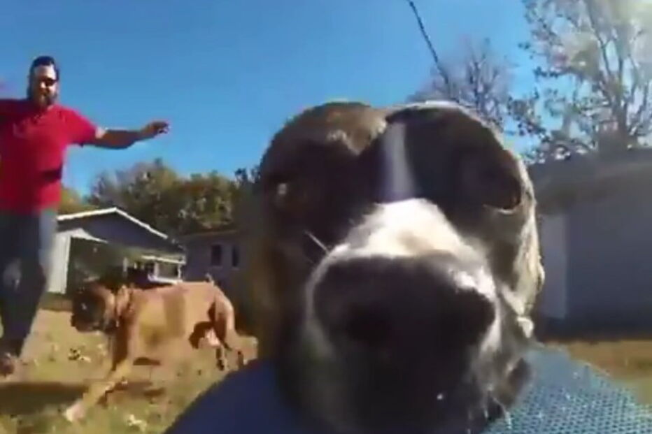 Imagens tornaram-se virais nas redes sociais