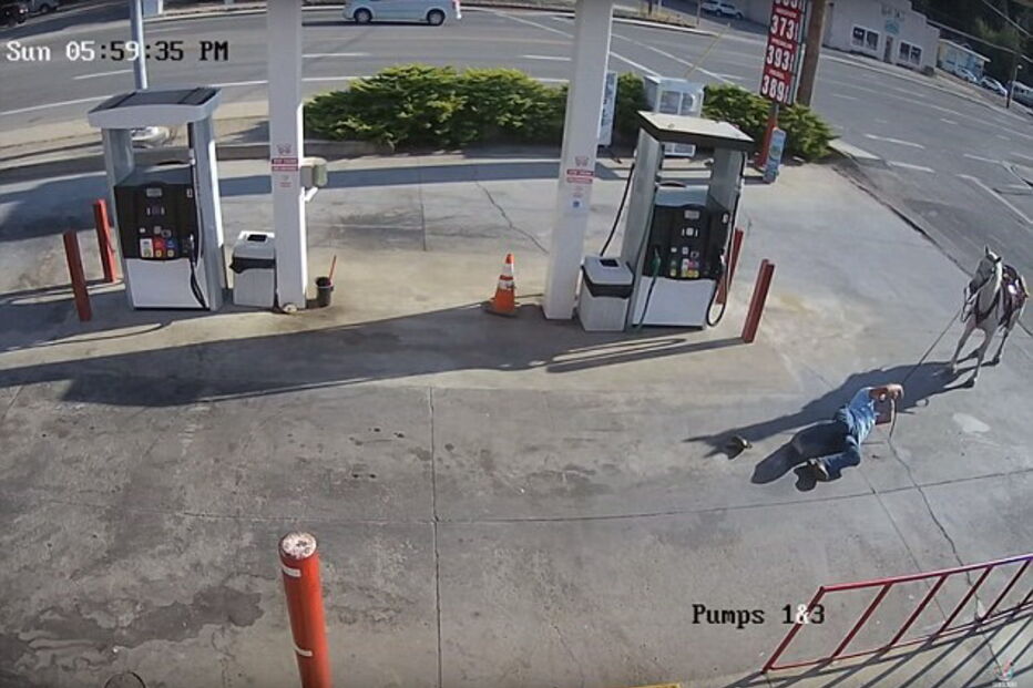 Imagens captadas pelas câmaras de vigilância locais