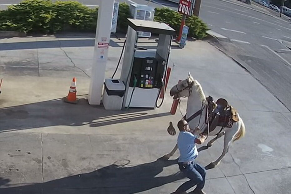 Imagens captadas pelas câmaras de vigilância locais