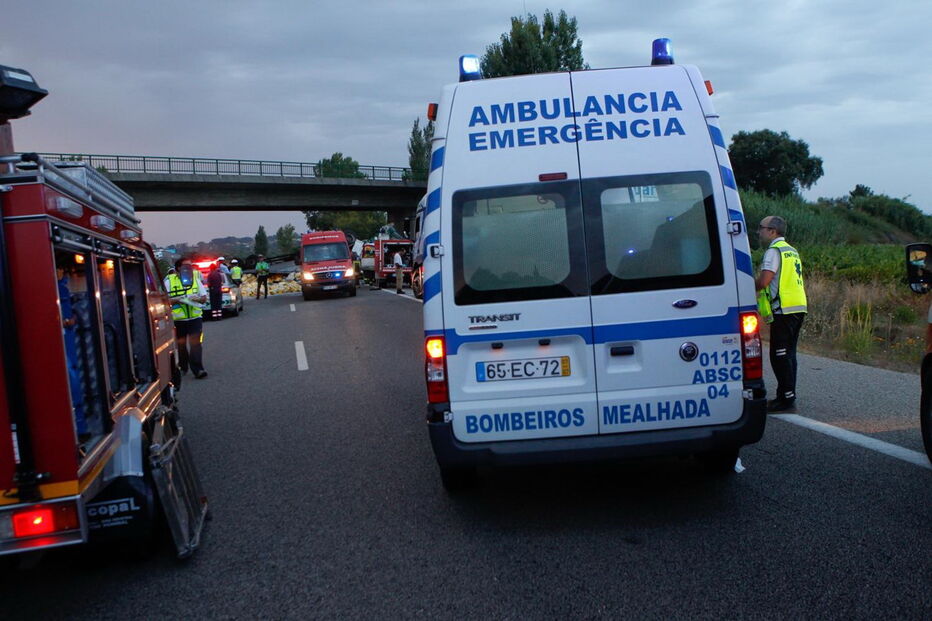 Acidente com dois camiões e vários carros na A1 na Mealhada