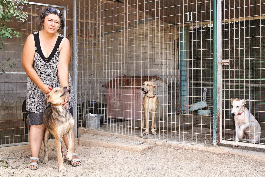 Associação para Protecção dos Animais de Rua