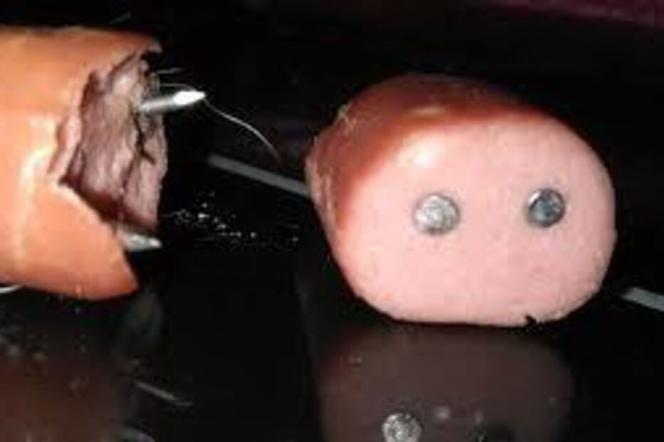 Comida encontrada nos parques espanhóis