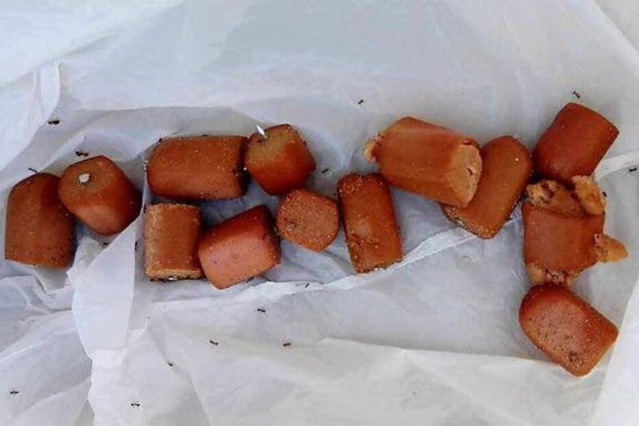 Comida encontrada nos parques espanhóis