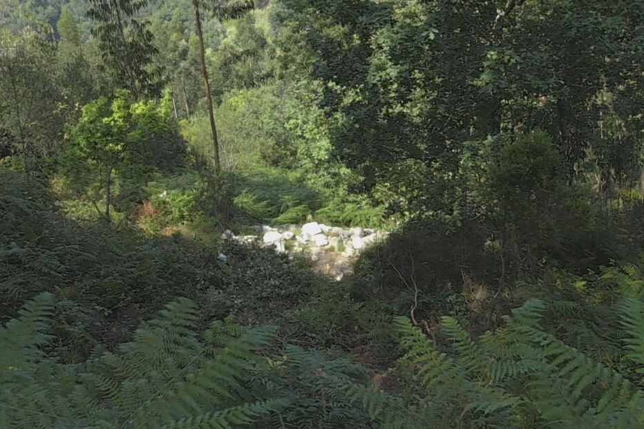 Grupo de ciclistas encontra homem morto dentro do carro em Vieira do Minho
