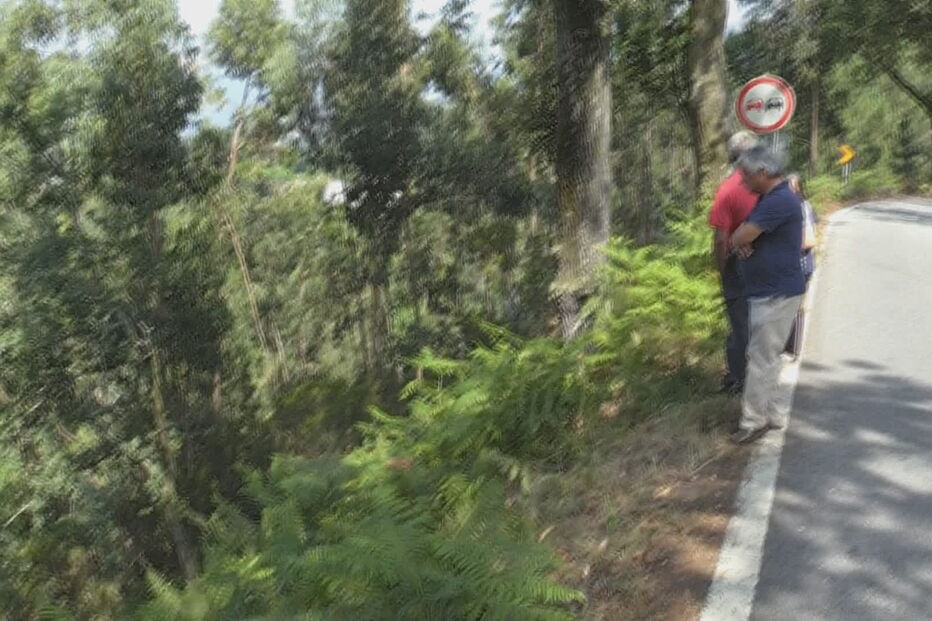 Grupo de ciclistas encontra homem morto dentro do carro em Vieira do Minho