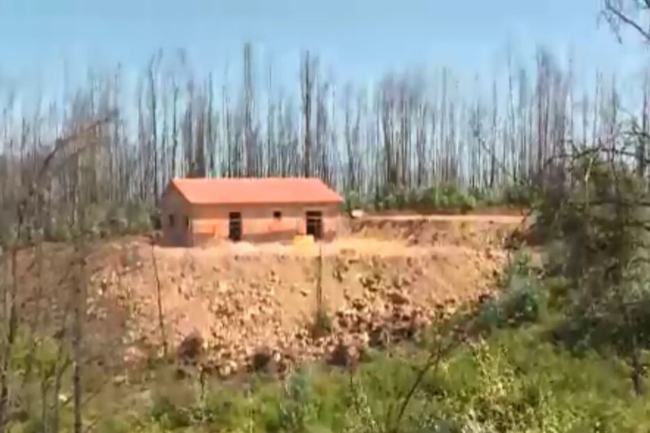 Marcelo Rebelo de Sousa quer esclarecer fraude das casas em Pedrógão este ano