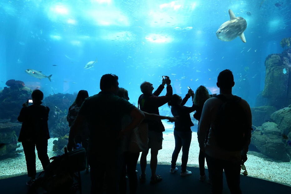Oceanário de Lisboa