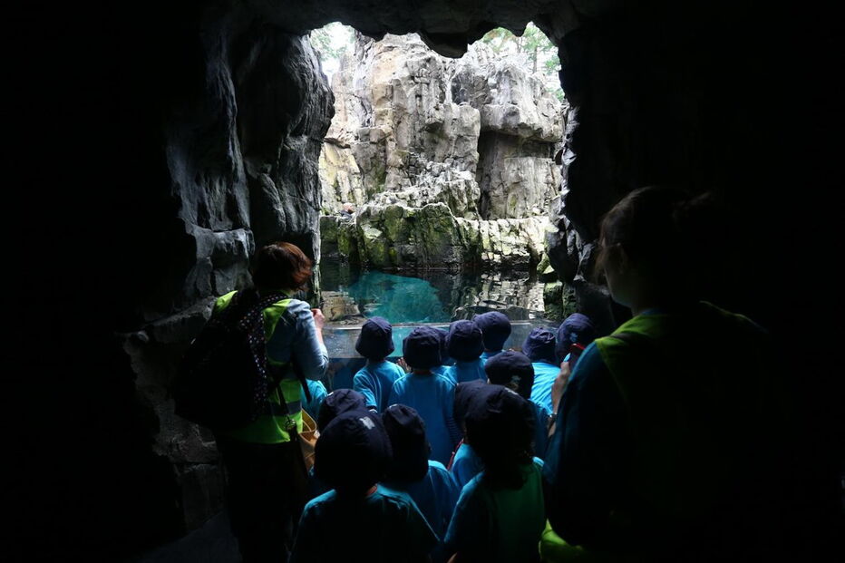 Oceanário de Lisboa