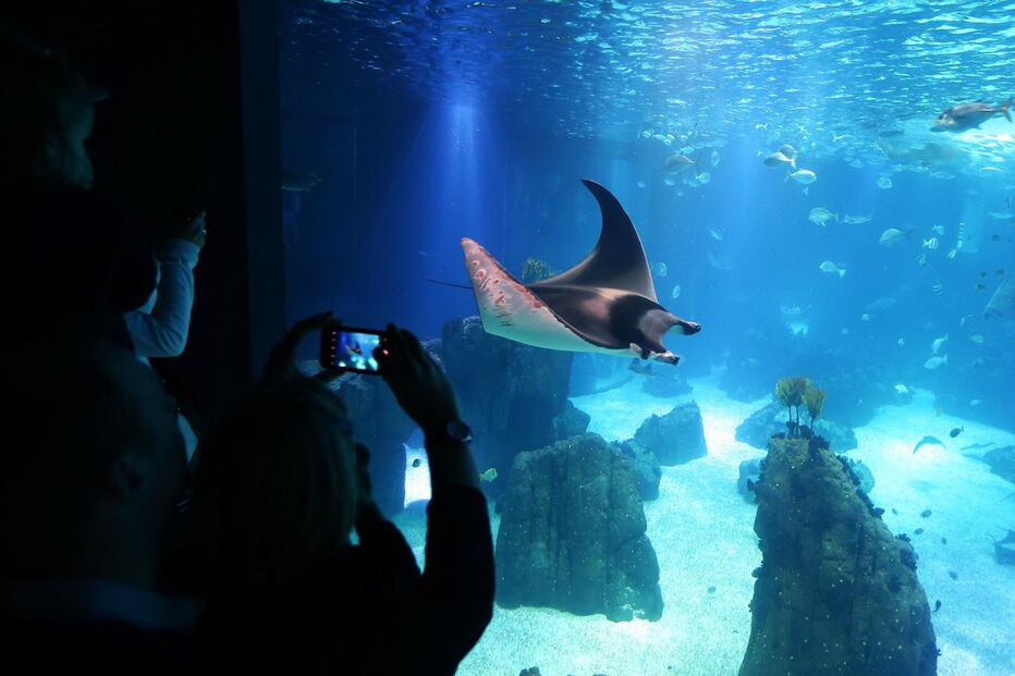 Oceanário de Lisboa
