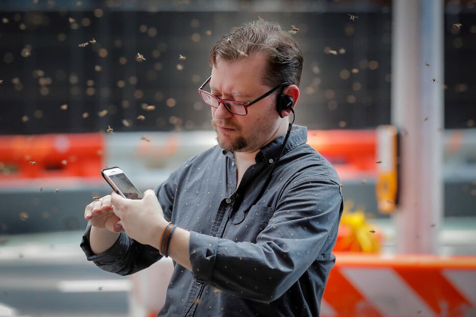 Enxame de abelhas passeia em Nova Iorque