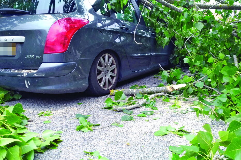 Incidente ocorreu no dia 10 de junho na rua 