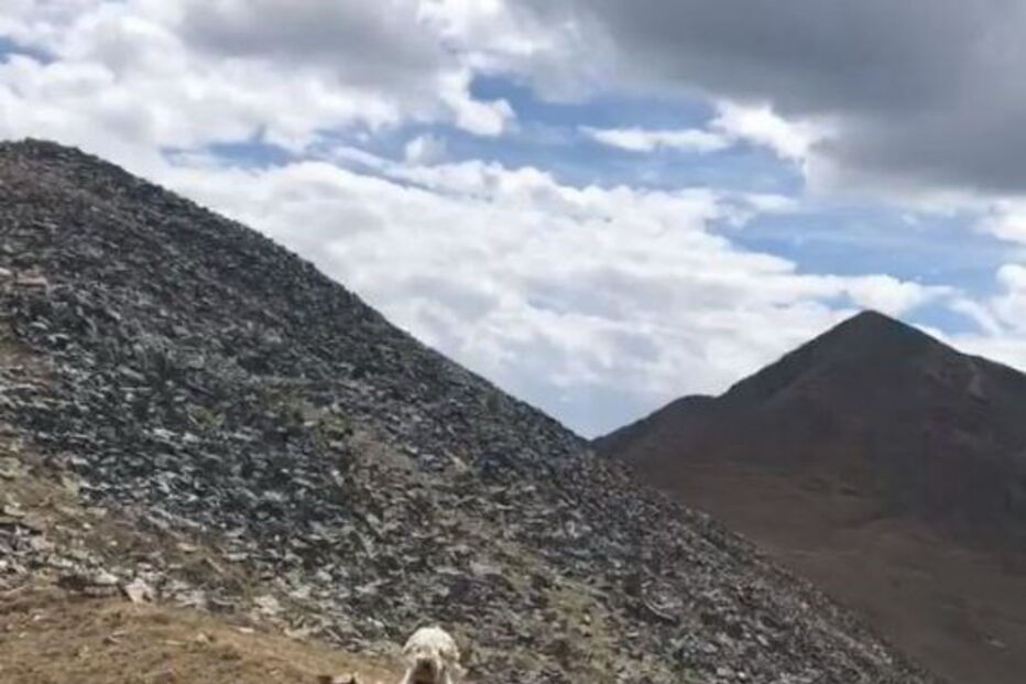 Imagens do reencontro com Samantha, filha da vítima mortal
