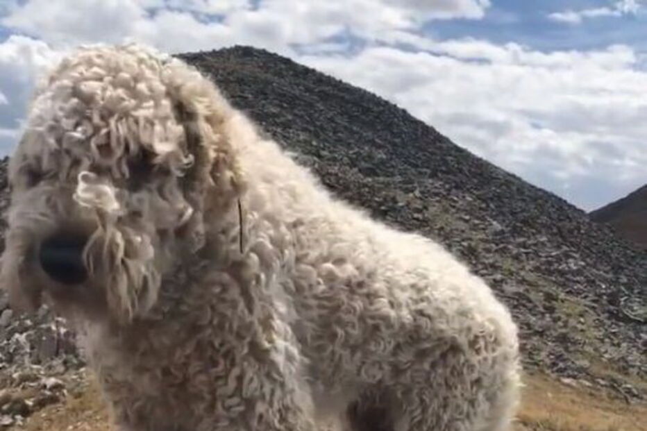 Imagens do reencontro com Samantha, filha da vítima mortal