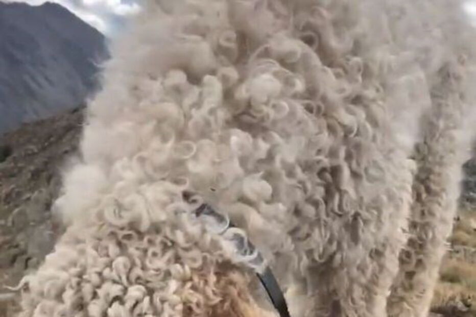 Imagens do reencontro com Samantha, filha da vítima mortal