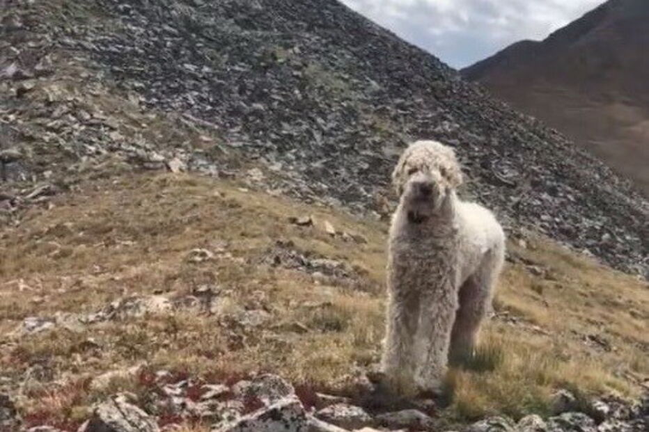Imagens do reencontro com Samantha, filha da vítima mortal