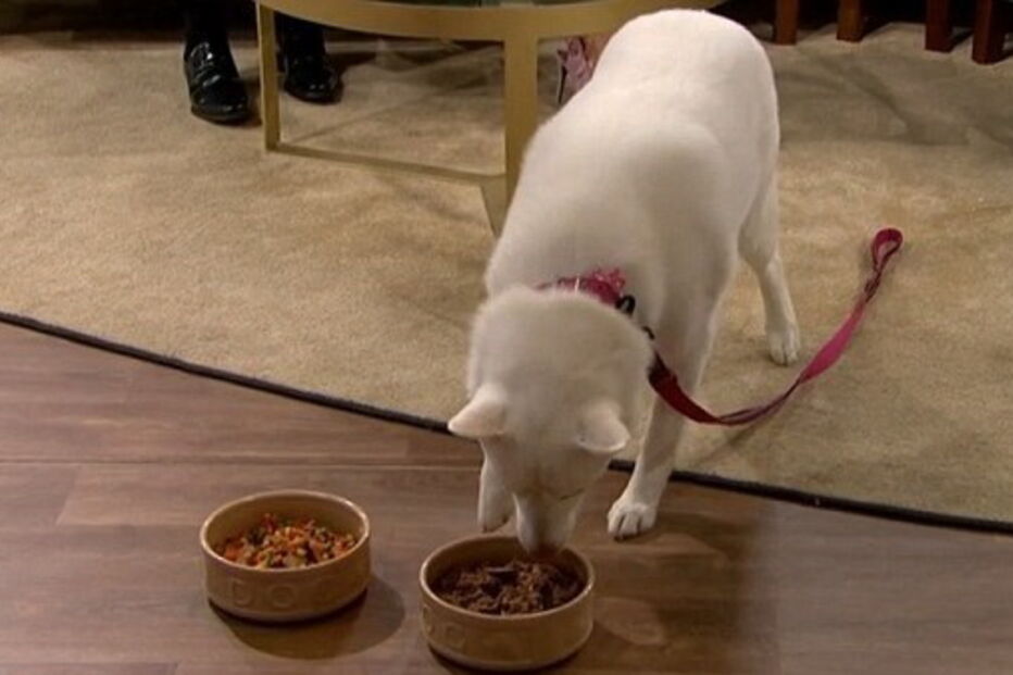 2018-08-31_12_39_05 4F864B3800000578-6113933-image-a-102_1535626969660.jpg