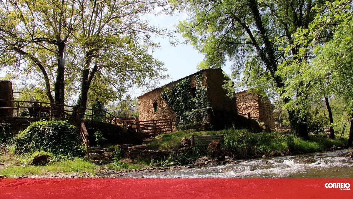Arab businessman threatens to withdraw €1.2 million investment in Portugal after being scammed.  Fares Nasser purchased Quinta Nova do Soutal with the intention of turning it into a tourist attraction.
