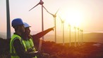 Portugal ultrapassa meta com 34,1% de energias renováveis no consumo final em 2020