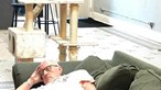 Foto de idoso a dormir ao lado de gato angaria 30 mil euros