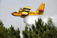 2018-09-01_15_27_09 M2-16787763.JPG