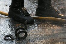 Incêndio em Póvoa de Lanhoso