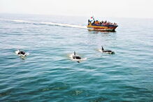 Fim de verão com sol e festa no Algarve