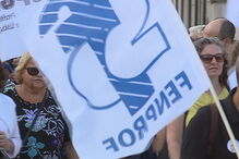 Fenprof, Professores, greve