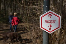 Floresta 'Foret de Soignes' na Bélgica