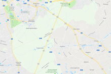 Forêt de Soignes, na Bélgica