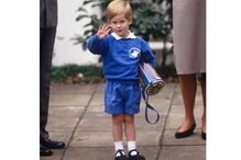 2018-09-10_11_52_37 harry.jpg