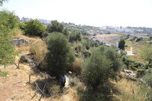 Encontrado corpo de mulher em rua de Lisboa