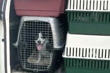 EUA preparam-se para receber impacto do 