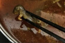 Fotografia publicada pela mulher nas redes sociais