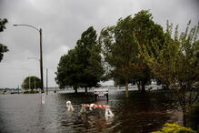 As imagens da passagem do Furacão Florence pelos Estados Unidos 