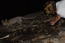 2018-09-14_11_14_05 41264746_10209986675183863_1885821265231478784_n.jpg