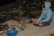 2018-09-14_11_14_17 41202525_10209986672423794_969255818127998976_o.jpg