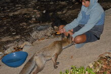 2018-09-14_11_14_18 41377106_10209986672823804_8051537343112282112_o.jpg