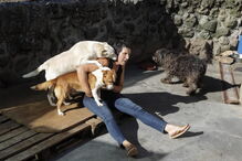 Tobias foi o primeiro, agora Clara tem 88 cães que recolheu das ruas 