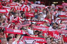 As melhores imagens do Benfica-Rio Ave