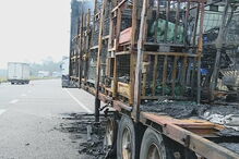 Camião arde em andamento na A28 na Póvoa de Varzim