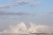 Três baleias surpreendem passageiros com mergulhos sincronizados