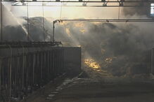 Incêndio deflagrou em vacaria em Santo Tirso