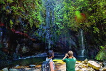 Levada das 25 Fontes